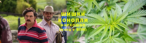 крисы Бронницы