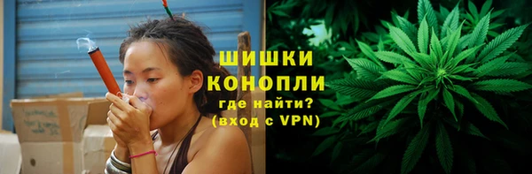 дурь Бородино