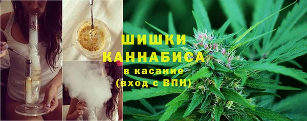 гидропоника Богородск