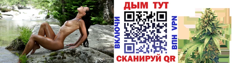 Купить  Лагань  Марихуана сатива 